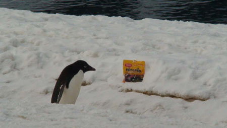 Pingvin lakris er eftertragtet